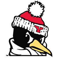 Youngstown State University logo